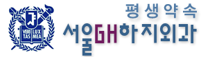 서울GH하지외과